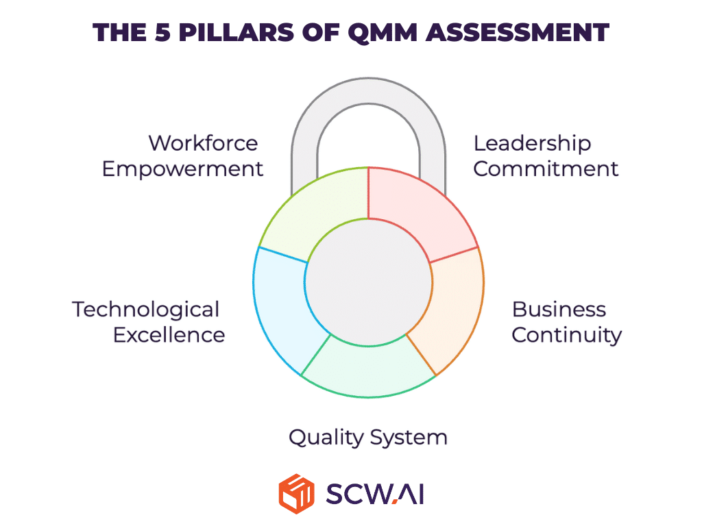 Image shows main pillar of QMM assessment.